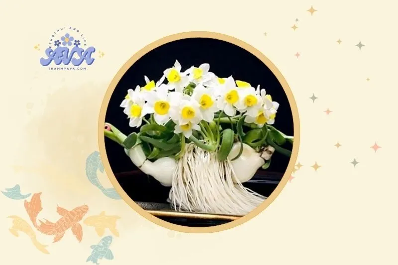 Cách bài trí cây hoa thủy tiên trong không gian sống