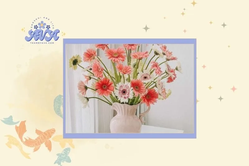 Cách Chọn Cây Hoa Đồng Tiền Phù Hợp Với Mệnh