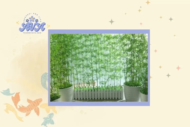 Cách chọn cây trúc quân tử hợp tuổi và mệnh