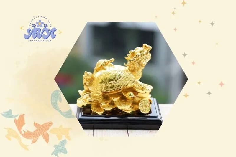 Cách chọn Long Quy hợp mệnh và phong thủy nhà ở