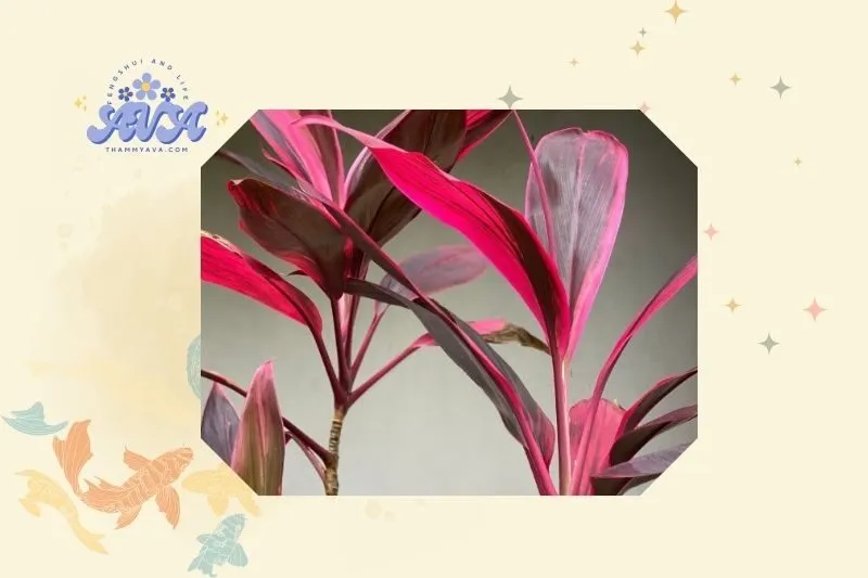 Cách trồng và chăm sóc cây Huyết Dụ đúng cách