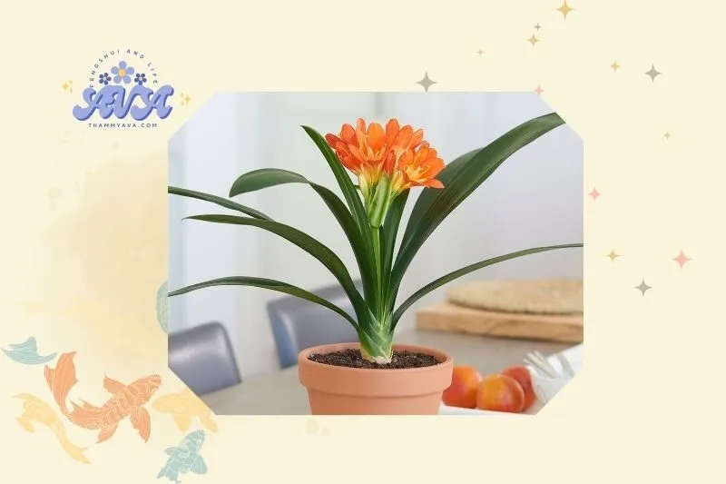 Cách trồng và chăm sóc cây lan quân tử