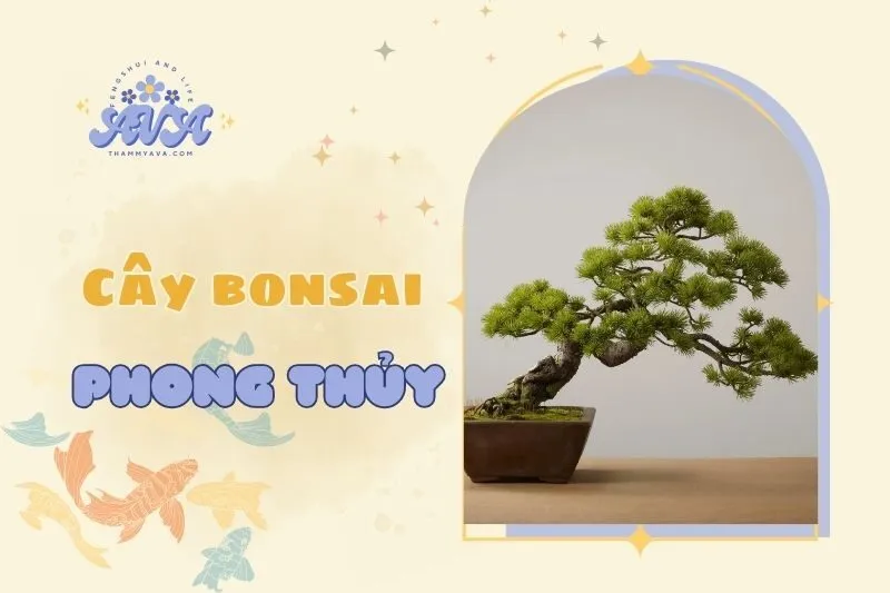 Cây bonsai phong thủy 2025: Ý nghĩa, cách trồng và bài trí