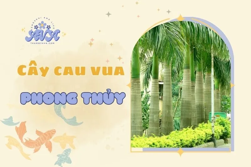 Khám phá ý nghĩa cây cau vua phong thủy: Thịnh vượng & may mắn