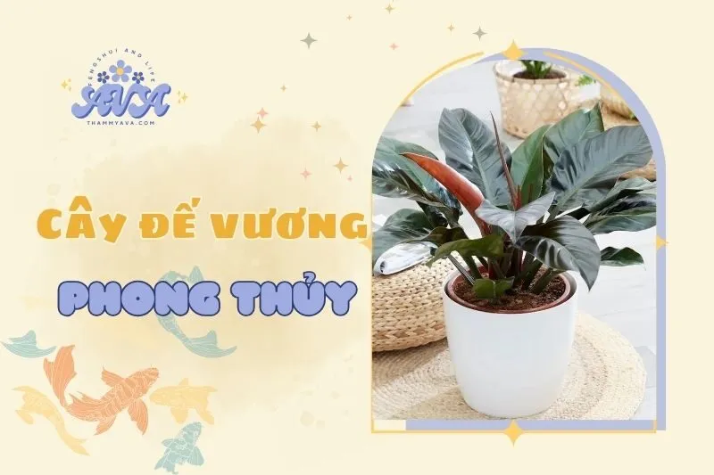 Cây đế vương phong thủy: Ý nghĩa và cách chăm sóc tốt nhất 2025