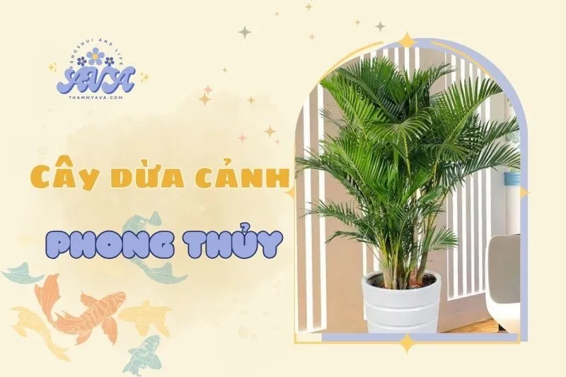 Cây Dừa Cảnh Phong Thủy 2025: Ý Nghĩa, Cách Chăm Sóc và Đặt Cây