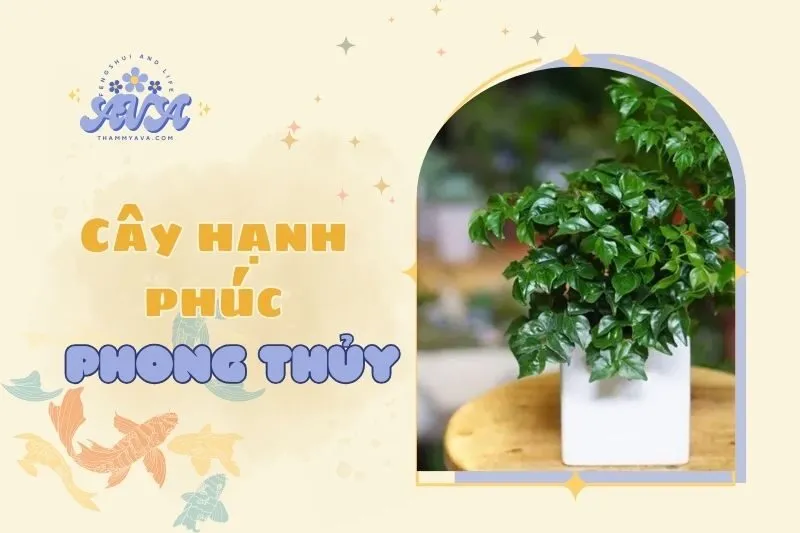 Cây hạnh phúc phong thủy 2025: Ý nghĩa, cách chăm sóc & bố trí