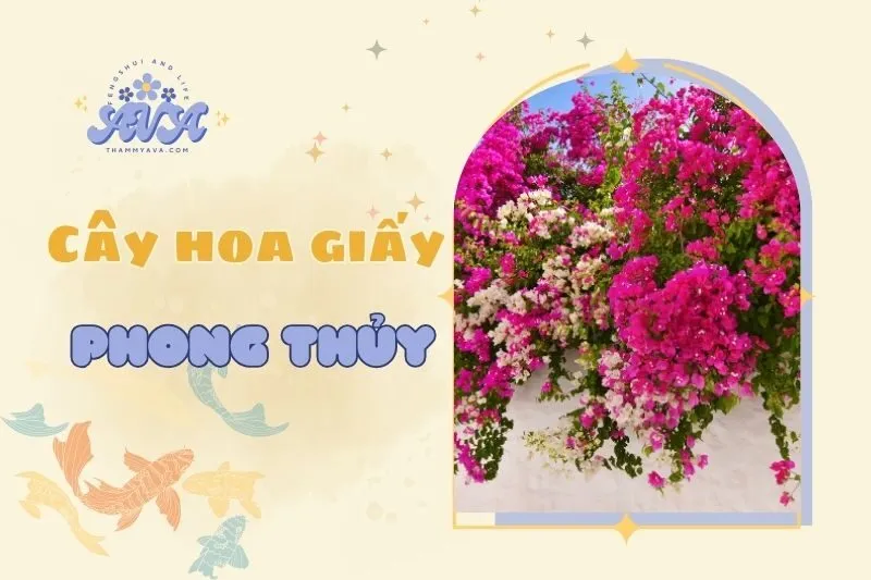 Cây hoa giấy phong thủy: Ý nghĩa, cách trồng & chăm sóc 2025