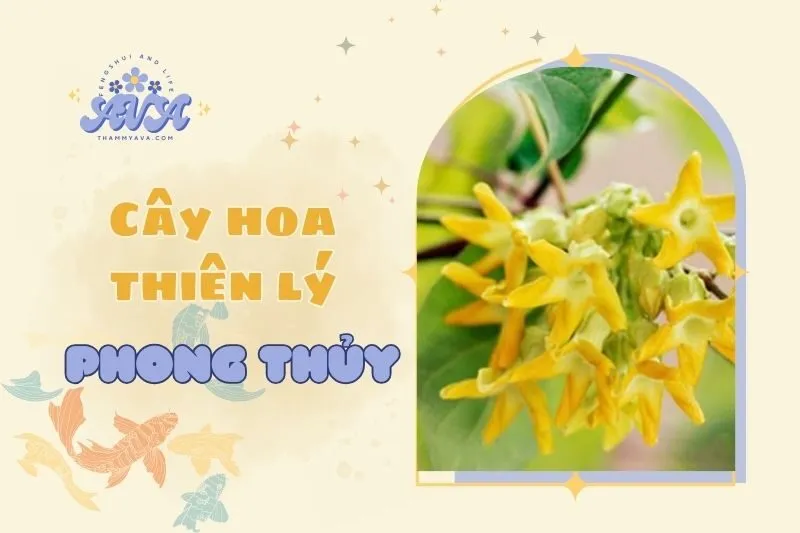Cây hoa thiên lý phong thủy 2025: Ý nghĩa và cách trồng hiệu quả