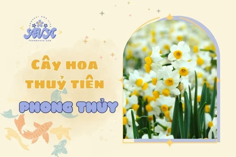 Cây hoa thủy tiên phong thủy 2025: Ý nghĩa và cách chăm sóc