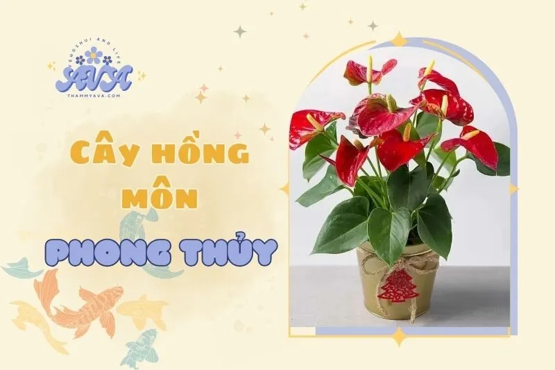 Cây Hồng Môn Phong Thuỷ 2025: Ý Nghĩa, Công Dụng và Cách Trồng