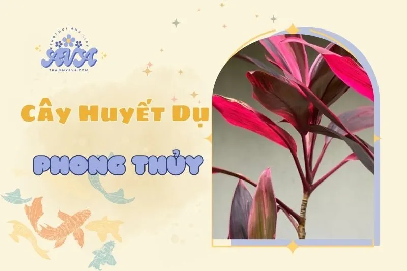 Cây Huyết Dụ Phong Thuỷ: Ý Nghĩa, Công Dụng & Cách Trồng 2025