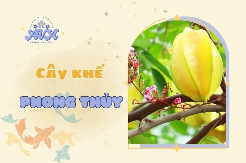 Cây Khế Phong Thủy 2025: Ý Nghĩa, Đặc Điểm và Cách Trồng