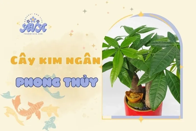 Cây kim ngân phong thuỷ 2025: Ý nghĩa, cách trồng và chăm sóc