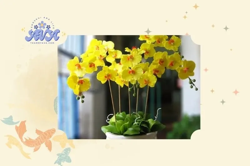 Ý nghĩa phong thủy của cây lan hồ điệp