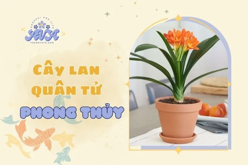 Cây lan quân tử phong thuỷ 2025: Ý nghĩa, cách trồng và chăm sóc