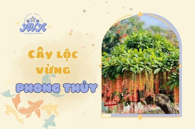 Cây lộc vừng phong thuỷ 2025: Ý nghĩa và cách trồng hiệu quả