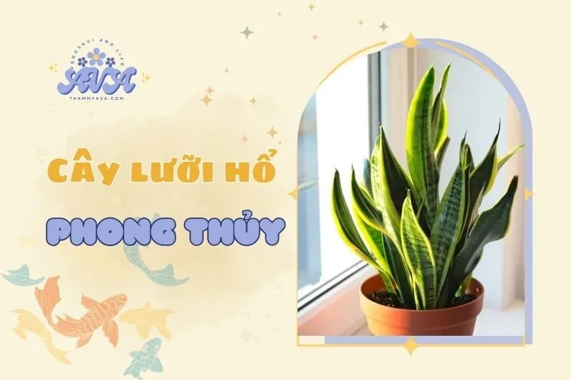 Cây lưỡi hổ phong thủy 2025: Ý nghĩa, công dụng và cách chăm sóc