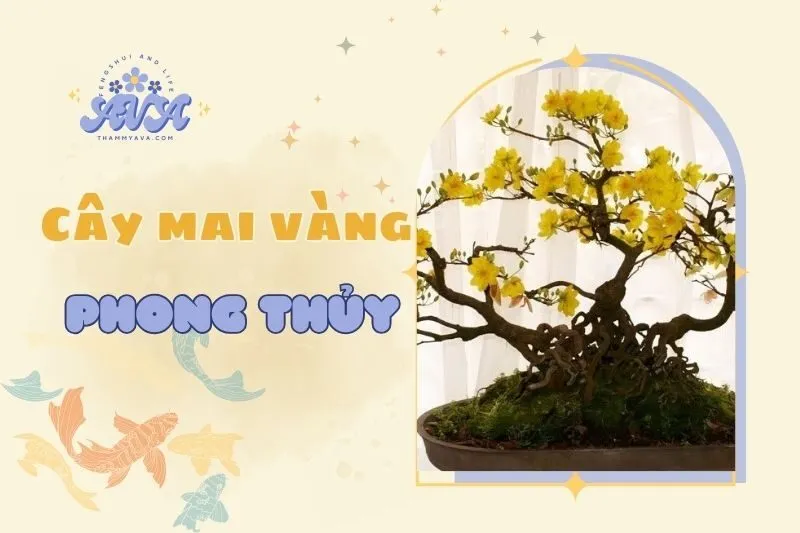 Cây Mai Vàng Phong Thủy 2025: Ý Nghĩa, Cách Chọn và Chăm Sóc