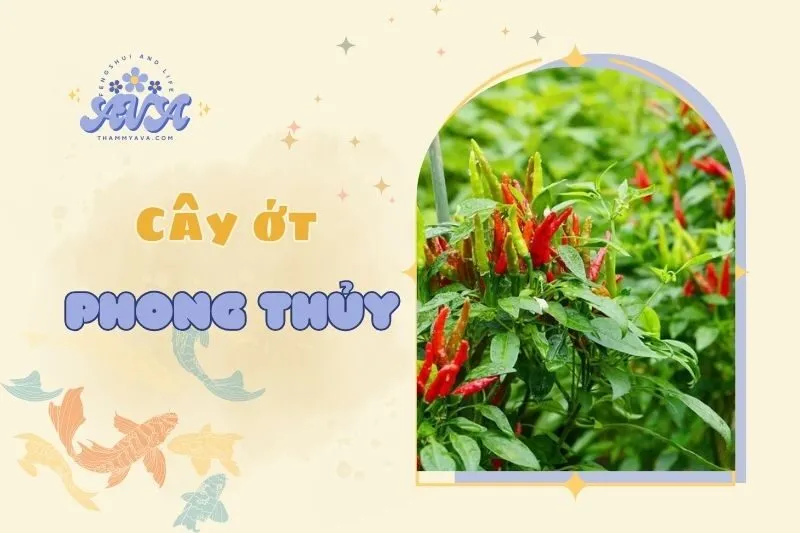 Cây ớt phong thủy 2025: Ý nghĩa, công dụng và cách chăm sóc