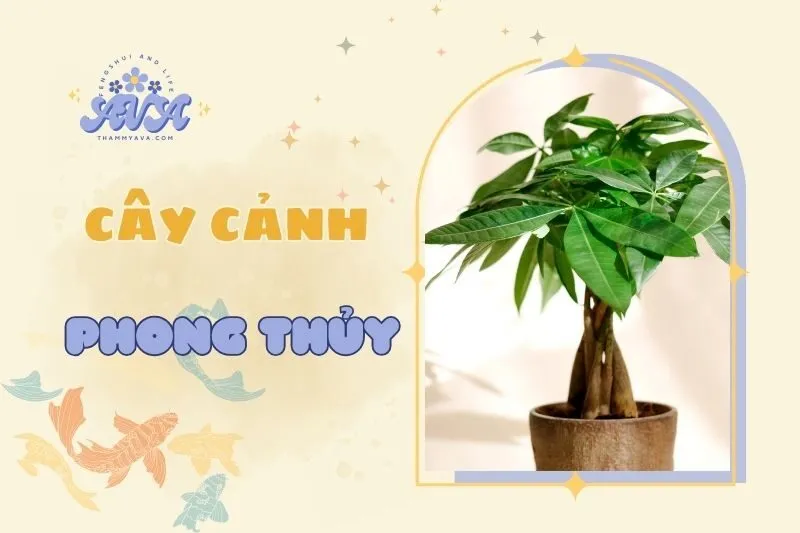 Cây phong thủy trong nhà: 50+ loại cây hút tài lộc, giúp nhà thêm đẹp