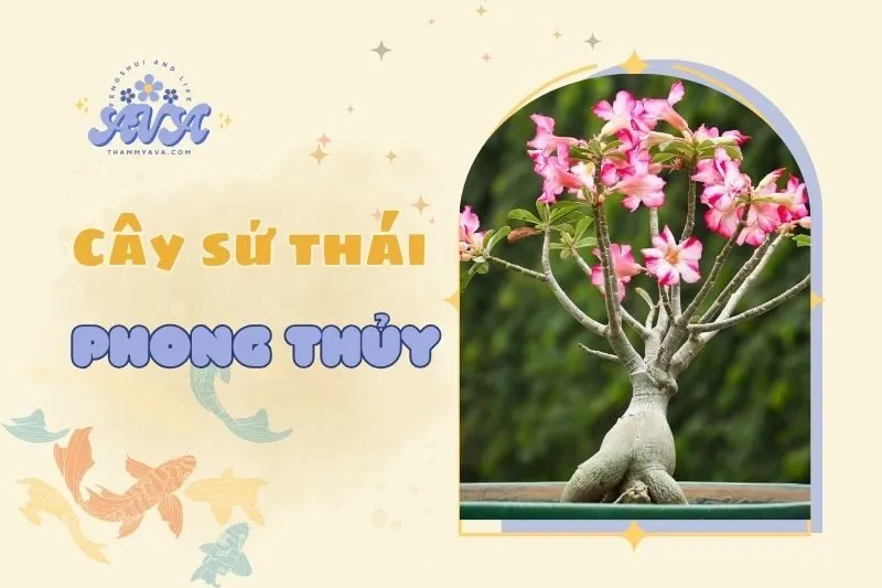 Cây Sứ Thái Phong Thủy 2025: Ý Nghĩa và Cách Chăm Sóc