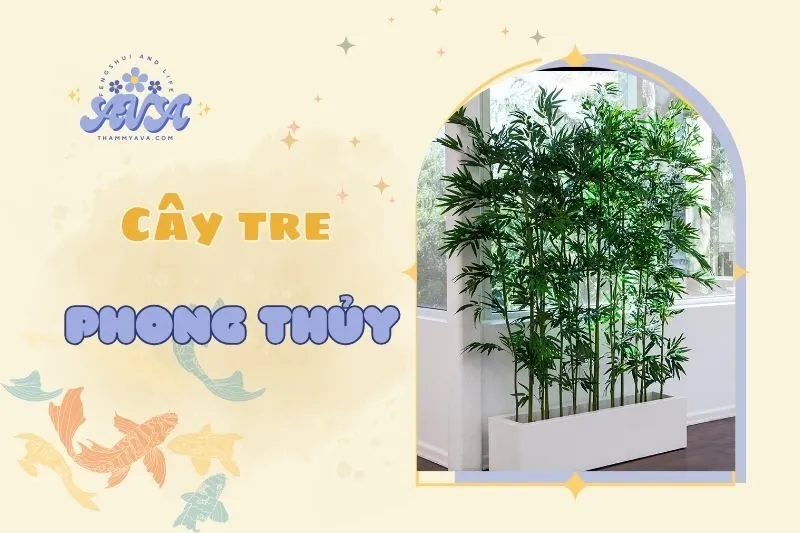 Cây tre phong thủy 2025: Ý nghĩa, cách chọn và bài trí hợp mệnh