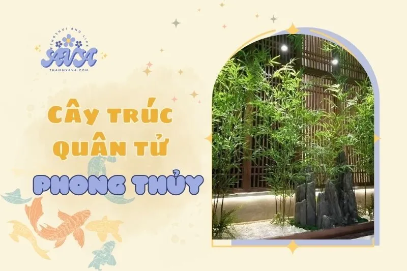 Cây trúc quân tử phong thủy: Ý nghĩa và cách trồng chăm sóc 2025