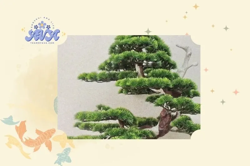 Ý nghĩa phong thủy của cây tùng bách