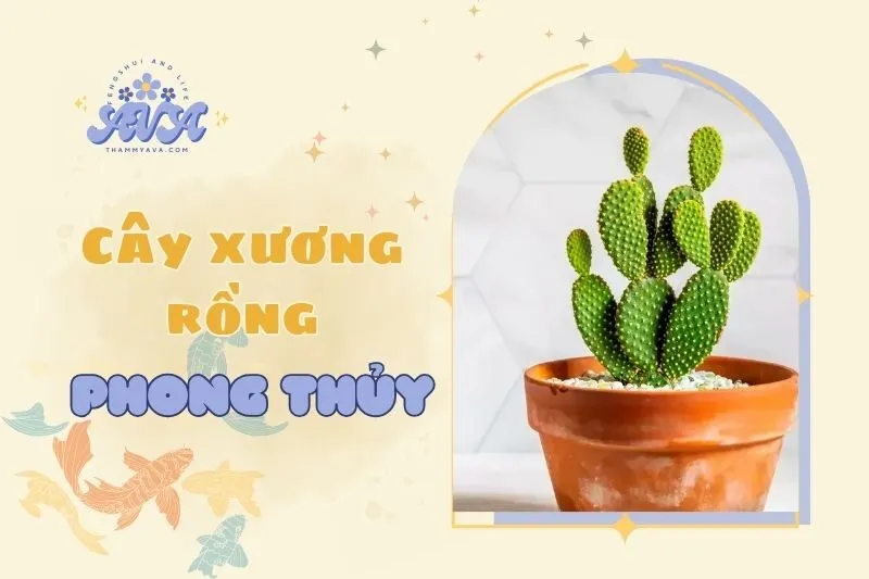 Cây xương rồng phong thủy: Khám phá ý nghĩa và cách trồng 2025
