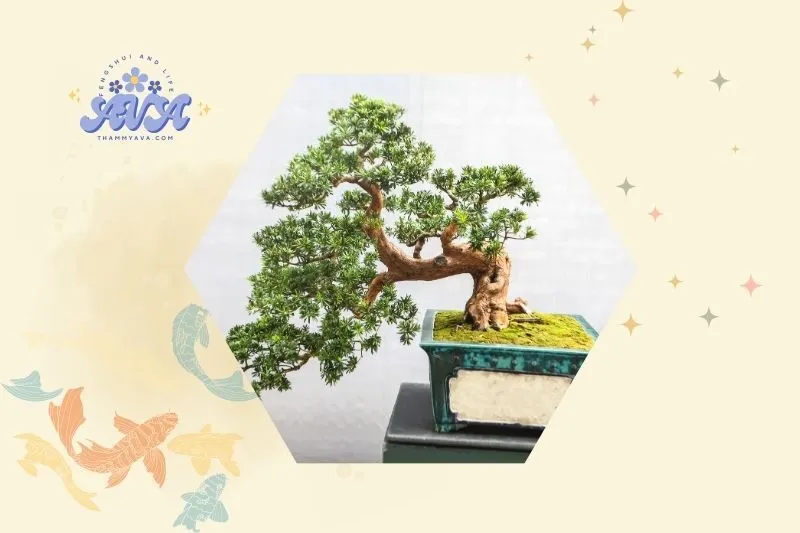 Những lưu ý khi sử dụng vật phẩm phong thủy